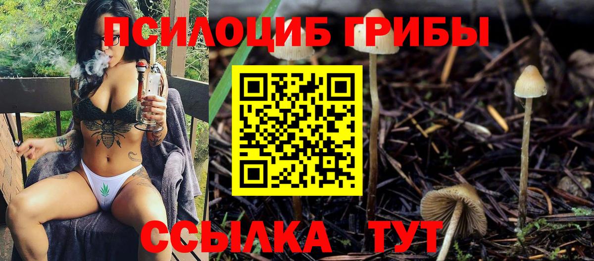 Галлюциногенные грибы Magic Shrooms  Вход с VPN  Ижевск 