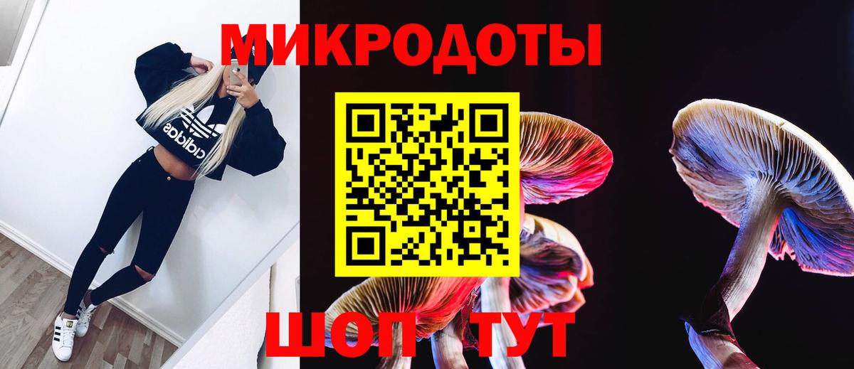 Галлюциногенные грибы Magic Shrooms Ижевск